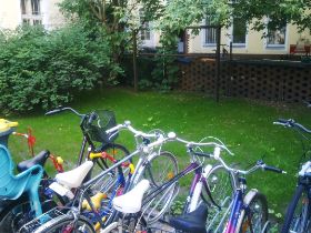 Rex Objektservice Grünfläche 2.jpg